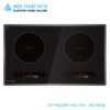Bếp Từ Eurosun EU-T210Max