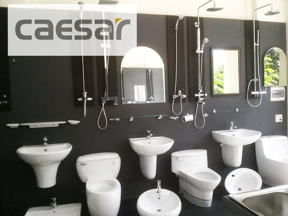 Thiết Bị Vệ Sinh Caesar: Tạo Không Gian Phòng Tắm Sang Trọng và Tiện Nghi - Hình 2